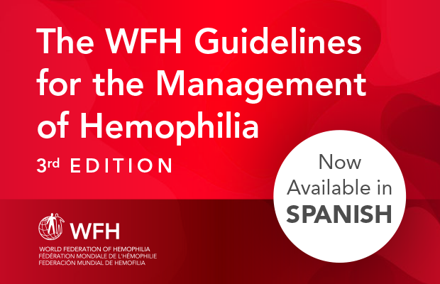 WFH-TG3ed-AvailableSpanish-620x400-EN