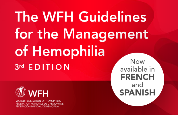 WFH-TG3ed-AvailableSpanishFrench-620x400-EN