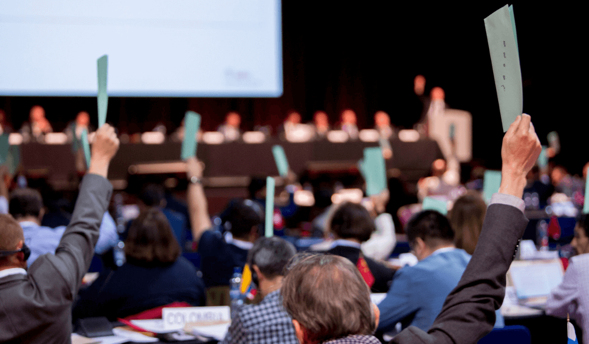 Representitives of the WFH holding up paddles with their country names to cast a vote