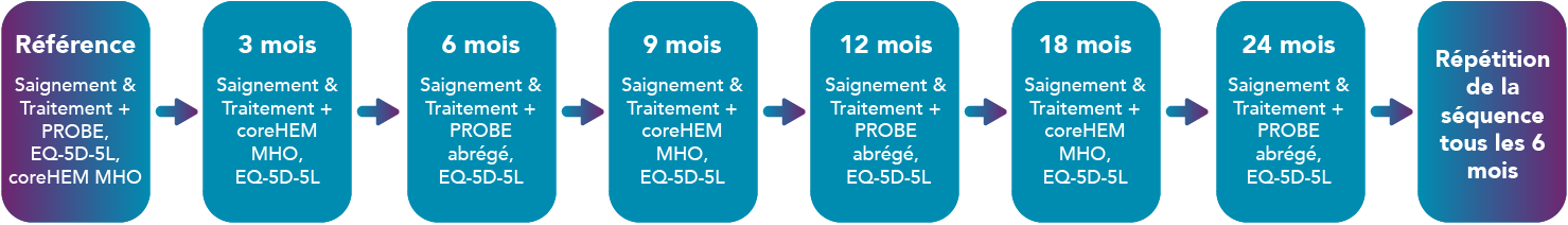 Un visuel montre la cadence du questionnaire myGTR
