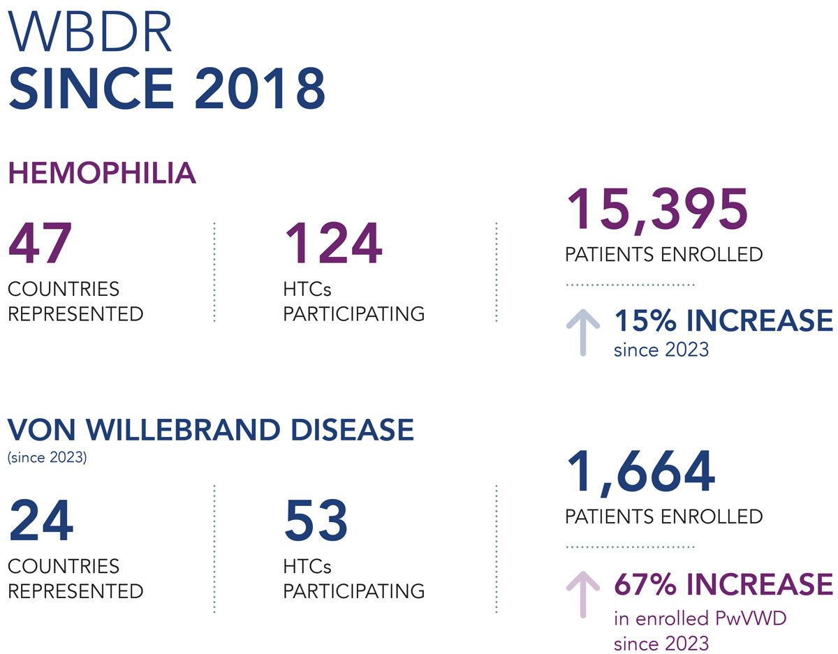 2024 WBDR Impact Report published: key facts pulled from the report