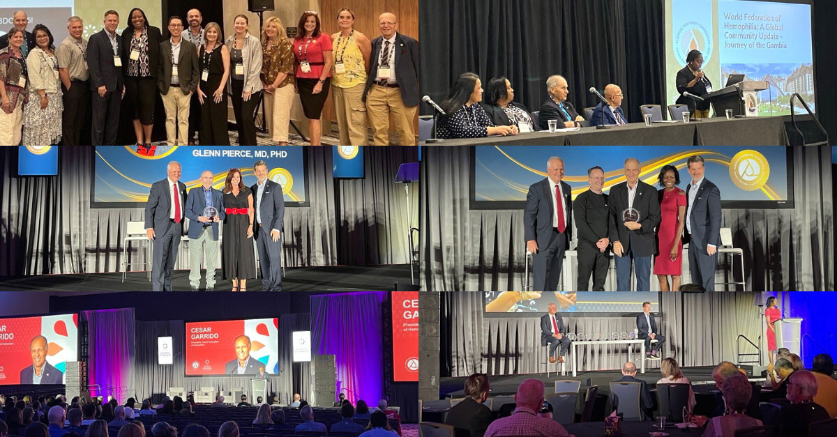 Stronger together: reflections from NBDF BDCI 2025